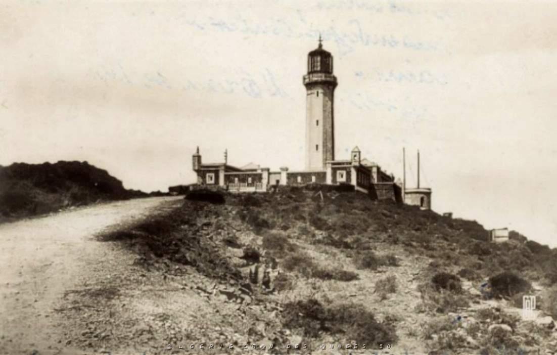 CO i- 32- Cap Falcon.jpg